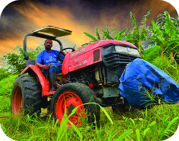 Donec non erat at leo tempus viverra eget ut nulla. Cras pharetra consequat neque