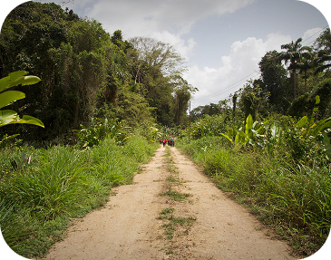 Donec non erat at leo tempus viverra eget ut nulla. Cras pharetra consequat neque